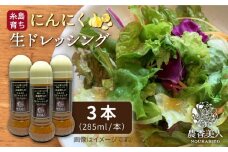 糸島そだちの にんにく ドレッシング ×3本セット【農香美人】[AAG003]