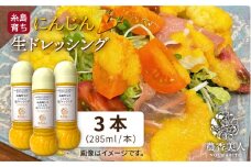 農香美人オリジナル にんじん 生ドレッシング（285ml）×3本セット【農香美人】[AAG007]
