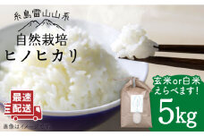 ＼令和6年産／【白米】自然栽培ヒノヒカリ5kg《糸島》【大石ファーム】 [ATE001-1]