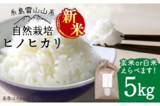 【令和7年産新米予約】【白米】自然栽培ヒノヒカリ5kg《糸島》【大石ファーム】【2025年11月中旬以降順次発送】 [ATE001-1]