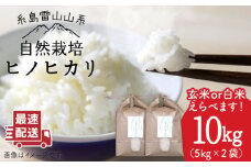 ＼令和6年産／【白米】自然栽培ヒノヒカリ10kg《糸島》【大石ファーム】 [ATE002-1]