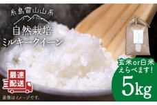 【白米】令和6年産 糸島産 ミルキークイーン 5kg 自然栽培 ≪糸島≫【大石ファーム】 [ATE014-1]