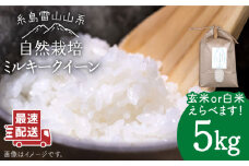 【玄米】令和6年産 糸島産 ミルキークイーン 5kg 自然栽培 ≪糸島≫【大石ファーム】 [ATE014-2]
