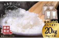 【白米】令和6年産 糸島産 ミルキークイーン 20kg 自然栽培≪糸島≫【大石ファーム】 [ATE016-1]