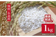 福吉産・ 山つき の もち米 1kg  《糸島》【二丈赤米産直センター】 [ABB027] 糯米 餅 おこわ