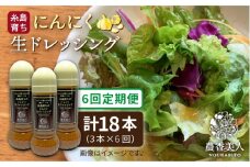 【 全6回 定期便 】糸島 そだち の にんにく ドレッシング × 3本 セット《糸島》【農香美人】[AAG022]