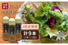 【 全3回 定期便 】糸島 そだち の にんにく ドレッシング × 3本 セット《糸島》【農香美人】[AAG021]