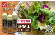 【全 12回 定期便 】糸島 そだち の にんにく ドレッシング × 3本 セット《糸島》【農香美人】[AAG023]