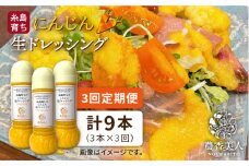 【 全3回 定期便 】農香美人 オリジナル にんじん 生 ドレッシング 285ml × 3本 セット 《糸島》【農香美人】[AAG033]