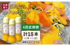 【 全6回 定期便 】農香美人 オリジナル にんじん 生 ドレッシング 285ml × 3本 セット《糸島》【農香美人】[AAG034]
