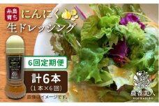 【 全6回 定期便 】糸島 そだち の にんにく 生 ドレッシング （ 285ml × 1本 ） 【農香美人】 [AAG037]