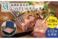 【全12回定期便】 いのしし の テリーヌ 10枚 糸島市 / レストランマノワ [ADG017] ジビエ 猪肉