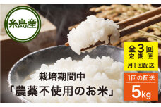 【全3回(月1回)定期便】 栽培期間中 農薬不使用のお米 ヒノヒカリ 5kg 糸島市 シーブ [AHC041] 米 定期便