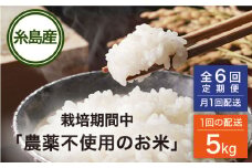 【全6回(月1回)定期便】 栽培期間中 農薬不使用のお米 ヒノヒカリ 5kg 糸島市 シーブ [AHC042] 米 定期便