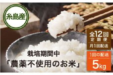【全12回(月1回)定期便】 栽培期間中 農薬不使用のお米 ヒノヒカリ 5kg 糸島市 シーブ   [AHC043] 米 定期便