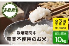 【全3回(月1回)定期便】栽培期間中 農薬不使用のお米 ヒノヒカリ 10kg 糸島市 シーブ [AHC044] 米 定期便