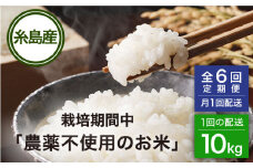 【全6回(月1回)定期便】栽培期間中 農薬不使用のお米 ヒノヒカリ 10kg 糸島市 シーブ [AHC045] 米 定期便