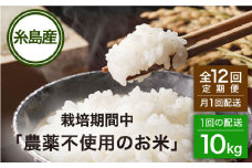 【全12回(月1回)定期便】栽培期間中 農薬不使用のお米 ヒノヒカリ 10kg 糸島市 シーブ [AHC046] 米 定期便