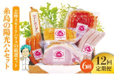 【 全12回 定期便 】  糸島 の 陽光 ハム セット 2 《糸島》 【志摩スモークハウス】 [AOA013]
