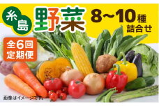 【 全6回 定期便 】糸島 野菜 詰め合わせ 8～10種セット 福岡 《糸島》【やますえ】 [AKA063]