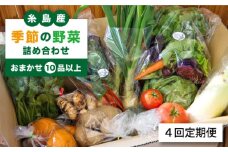 【 全4回 定期便 】 季節 の 野菜 詰め合わせ  （ おまかせ 10品 以上 ）《糸島》【ひめしま渡船直売所】 [ANJ002]