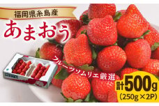 【先行予約】糸島産【冬】 あまおう 2パック 【2025年12月上旬以降順次発送】 《糸島》【南国フルーツ株式会社】 [AIK007]