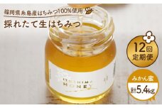 【 全12回 定期便 】 福岡 糸島産 採れたて 生はちみつ （ みかん蜜 450g ） 《糸島》 【糸島二丈サクランボ農園】 [AKJ007]