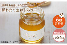【 全6回 定期便 】 福岡 糸島産 採れたて 生はちみつ （ 夏 の 百花蜜 900g ） 《糸島》 【糸島二丈サクランボ農園】 [AKJ015]