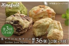 【 全3回 定期便 】 スコーン の イメージ 変えてみませんか？ 定番スコーン 12個 セット 《糸島》【キナフク】焼き菓子 焼菓子 洋菓子 スイーツ パン [AFA013]