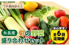 【 全6回 定期便 】 福岡県 糸島産 旬 の 野菜 盛り合わせ セット 《糸島》【株式会社フロンティア・アドバンス】 [AWC008]