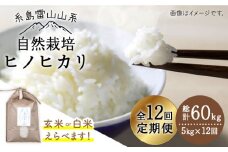 【白米】【全12回定期便】自然栽培ヒノヒカリ5kg《糸島》【大石ファーム】 [ATE019-2]
