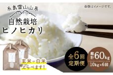【玄米】【全6回定期便】自然栽培ヒノヒカリ10kg《糸島》【大石ファーム】 [ATE021-1]