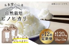 【玄米】【全12回定期便】自然栽培ヒノヒカリ10kg《糸島》【大石ファーム】 [ATE022-1]