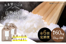 【玄米】【全6回定期便】糸島産 ミルキークイーン 10kg 自然栽培 ≪糸島≫【大石ファーム】 [ATE030-1]