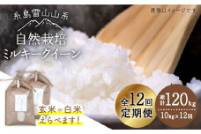【白米】【全12回定期便】糸島産 ミルキークイーン 10kg 自然栽培 ≪糸島≫【大石ファーム】 [ATE031-2]