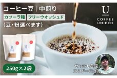 深煎りコーヒー豆 250g×2袋 （豆・粉選べます）  ニカラグア産サンホセ農園カツーラ種フリーウォッシュド《糸島市》【COFFEE UNIDOS】珈琲/カフェ/コーヒー粉 [AQF003]