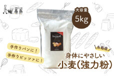 【 糸島産 小麦 使用 】 伊都 の みのり ( 強力粉 ) 5kg 《糸島》【天然パン工房楽楽】【 いとしまごころ】 [AVC061]