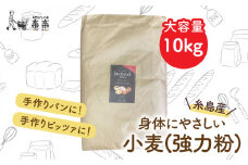 【 業務用 】 伊都 の みのり ( 強力粉 ) 10kg《糸島》 【天然パン工房楽楽】 【いとしまごころ】 [AVC064]