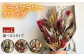 ドライフラワー 花材 ブーケ スワッグ ブライダル 結婚式