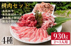 牛肉 豚肉 鶏肉 日常使いの精肉セット 930g 2～3人前 4種《糸島》【糸島ミートデリ工房】 [ACA192]