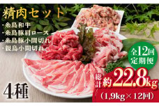 【全12回定期便】牛肉 豚肉 鶏肉 日常使いの精肉セット 1,930g 4～5人前 4種《糸島》【糸島ミートデリ工房】 [ACA199]