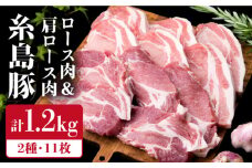 【合計11枚】とんかつ用セット 糸島豚ロース肉 約100g×6枚 / 肩ロース 約120g×5枚 豚肉 《糸島》【糸島ミートデリ工房】 [ACA228]