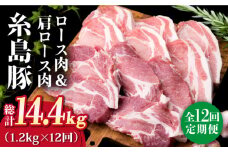 【全12回定期便】糸島豚ロース肉6枚 肩ロースカツ5枚 合計11枚セット《糸島》【糸島ミートデリ工房】 [ACA231]