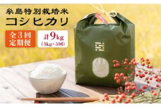 【全3回定期便】とくべつの中のとくべつ 糸島 特別栽培米 3kg （ コシヒカリ ） 糸島市 / itoshimacco / 株式会社やました [ARJ021]