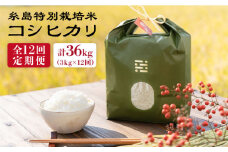【全12回定期便】とくべつの中のとくべつ 糸島 特別栽培米 3kg （ コシヒカリ ）糸島市 / itoshimacco / 株式会社やました[ARJ022]