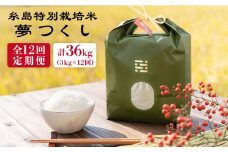 【全12回定期便】とくべつの中のとくべつ 糸島 特別栽培米 3kg （ 夢つくし ）《糸島》【itoshimacco / 株式会社やました】 [ARJ024]