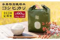 【全12回定期便】とくべつの中のとくべつ 糸島 特別栽培米 5kg （ コシヒカリ ）《糸島》【itoshimacco / 株式会社やました】 [ARJ026]