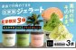 【期間限定】定番と季節のソルベ/アイスクリーム
