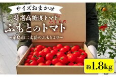【先行予約】糸島二丈岳 【ふもとのトマト】サイズおまかせ 約1.8kg（専用箱入り）【2025年11月上旬以降順次発送】 糸島市 / 株式会社さいかい [AFL002] トマト とまと