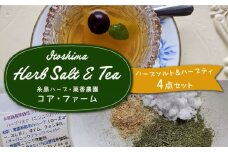糸島で育てたオリジナルハーブソルト＆ハーブティー 4点セット  糸島市 / 糸島ハーブ・薬香農園 コア・ファーム しお ハーブ 調味料 お茶 [AJC005]